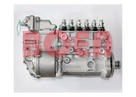 5260151 BHF6P120005 Bosch High Pressure Fuel Pump Diesel Fuel Injection Pump
